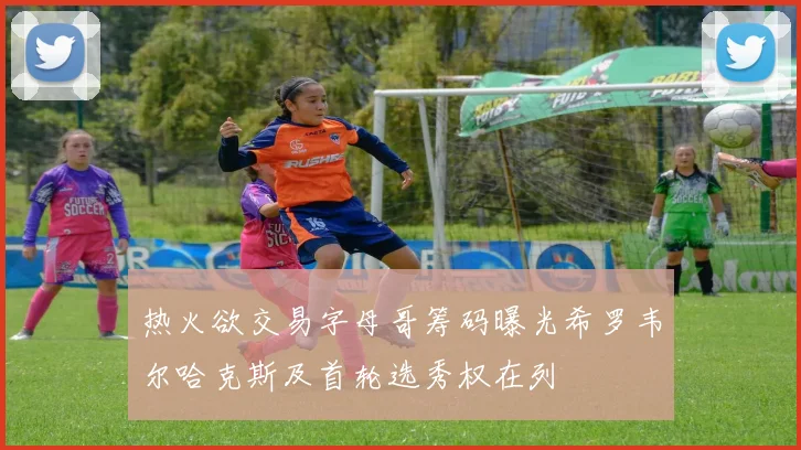 热火欲交易字母哥筹码曝光希罗韦尔哈克斯及首轮选秀权在列