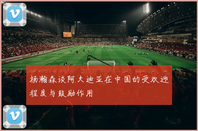 杨瀚森谈阿夫迪亚在中国的受欢迎程度与鼓励作用